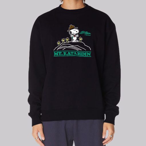 Todd Snyder Llbean Peanuts Snoopy Sweatshirt