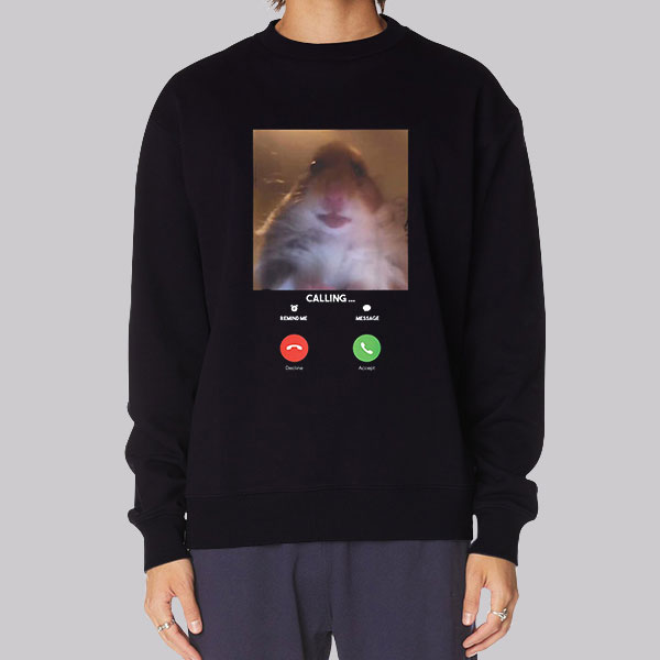 Hamster Staring at Camera Shirt Cheap | Made Printed