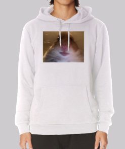 Funny Face Hamster Staring Hoodie