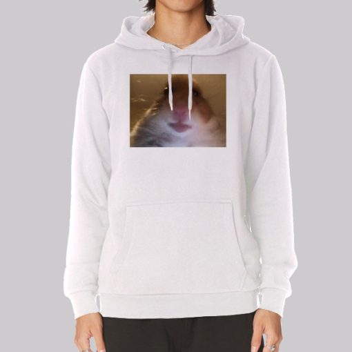 Funny Face Hamster Staring Hoodie