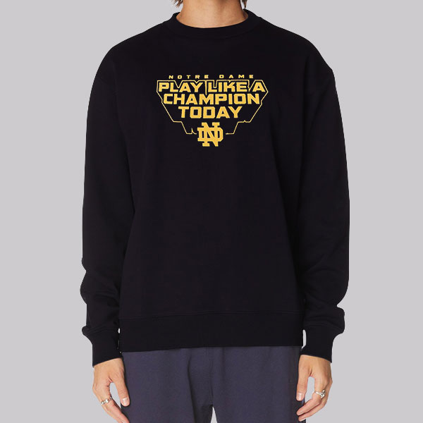 Hammes Notre Dame Bookstore Hoodie Cheap | Made Printed