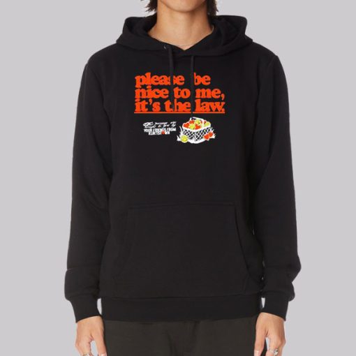 Funny Please Be Nice to Me It's the Law Hoodie