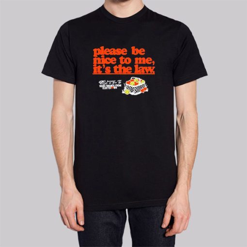 Funny Please Be Nice to Me It's the Law Shirt