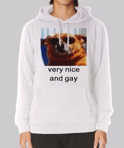 The Dog Very Nice and Gay Hoodie