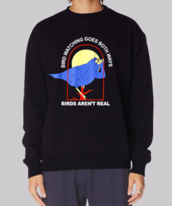 Funny Meme Birds Arent Real Sweatshirt
